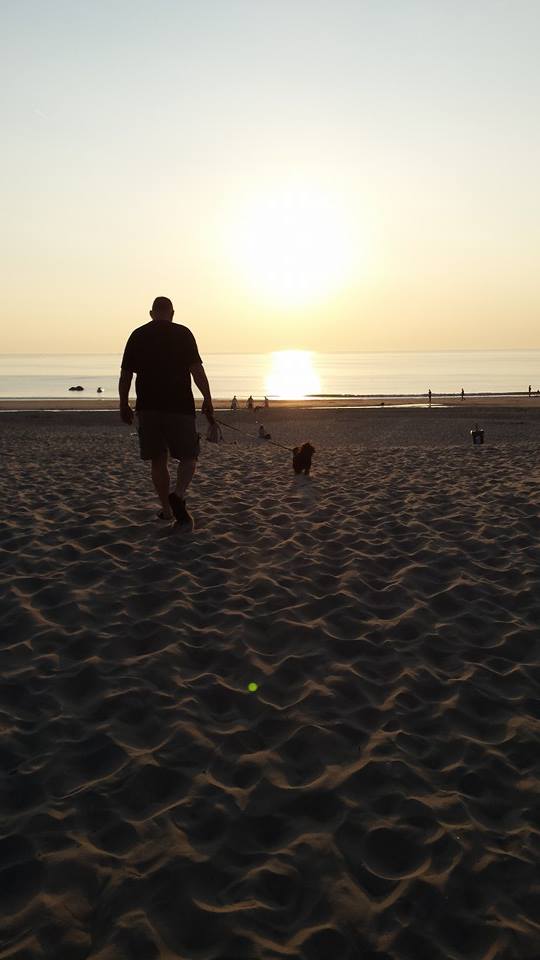 T-shirt - WTF where's the fish